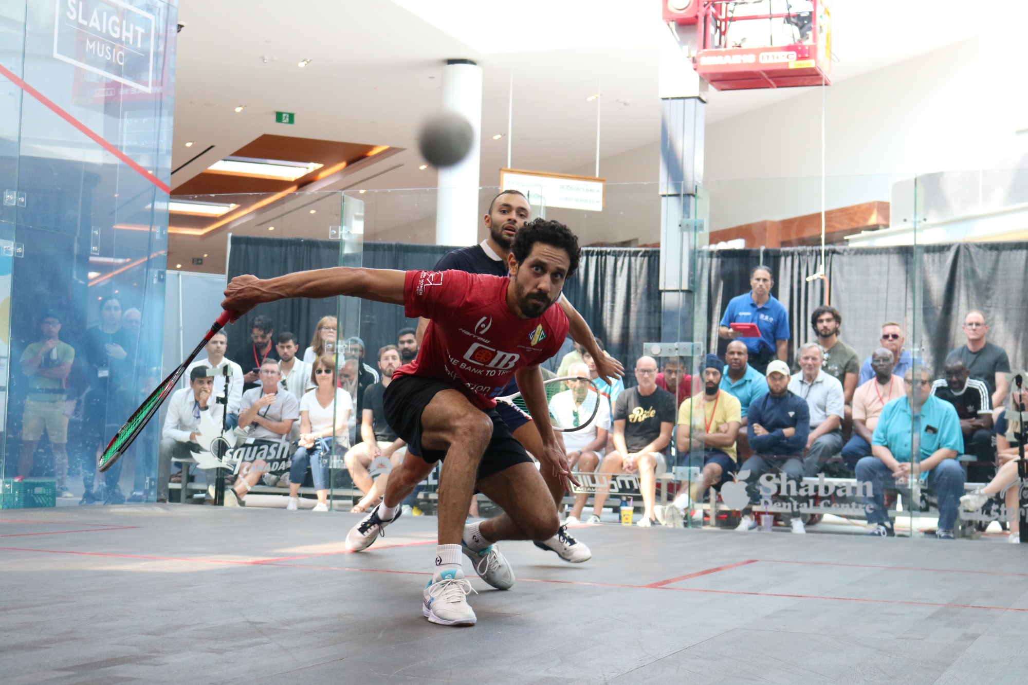 Squash players competing to hit the ball on clear squash court