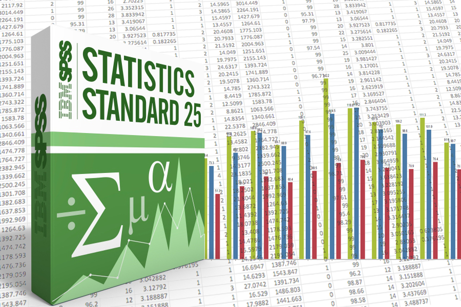 SPSS box