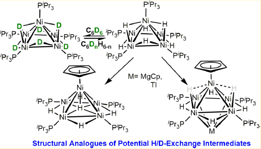 TOC:Mechanistic Insight into H /D Exchange by a Pentanuclear Ni- H Cluster and Synthesis and Characterization of Structural Analogues of Potential Intermediate