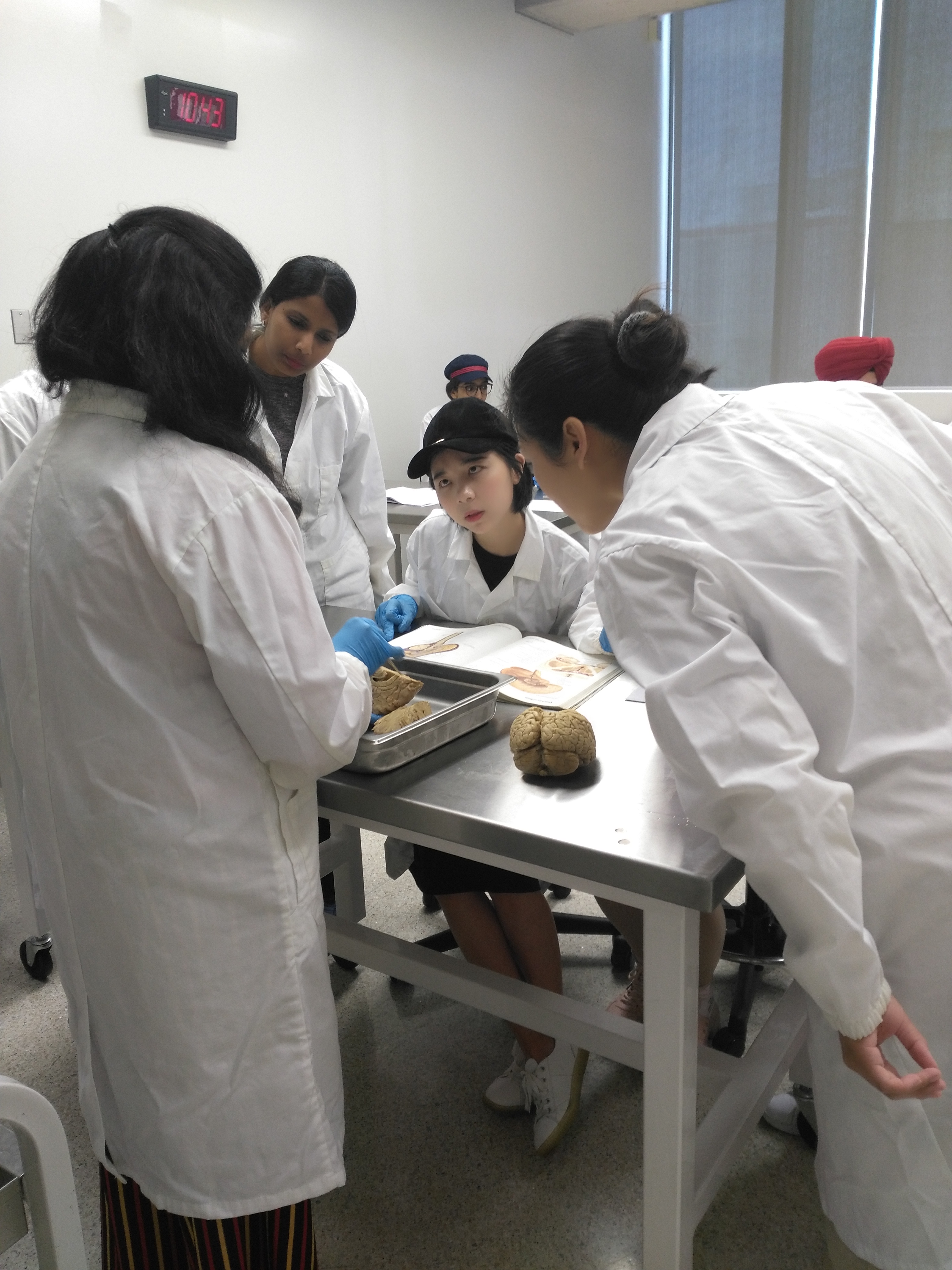 Demonstration of the parts of the human brain by faculty at the Human Anatomy Lab of Schulich School of Medicine & Dentistry - Windsor Campus (June 27, 2019)