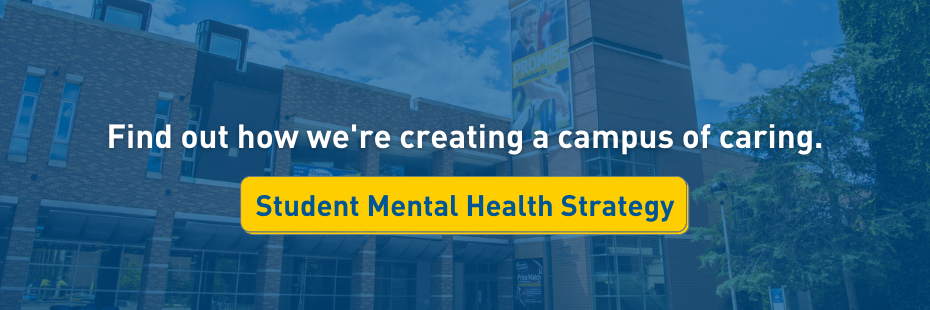 Student Mental Health Strategy Banner