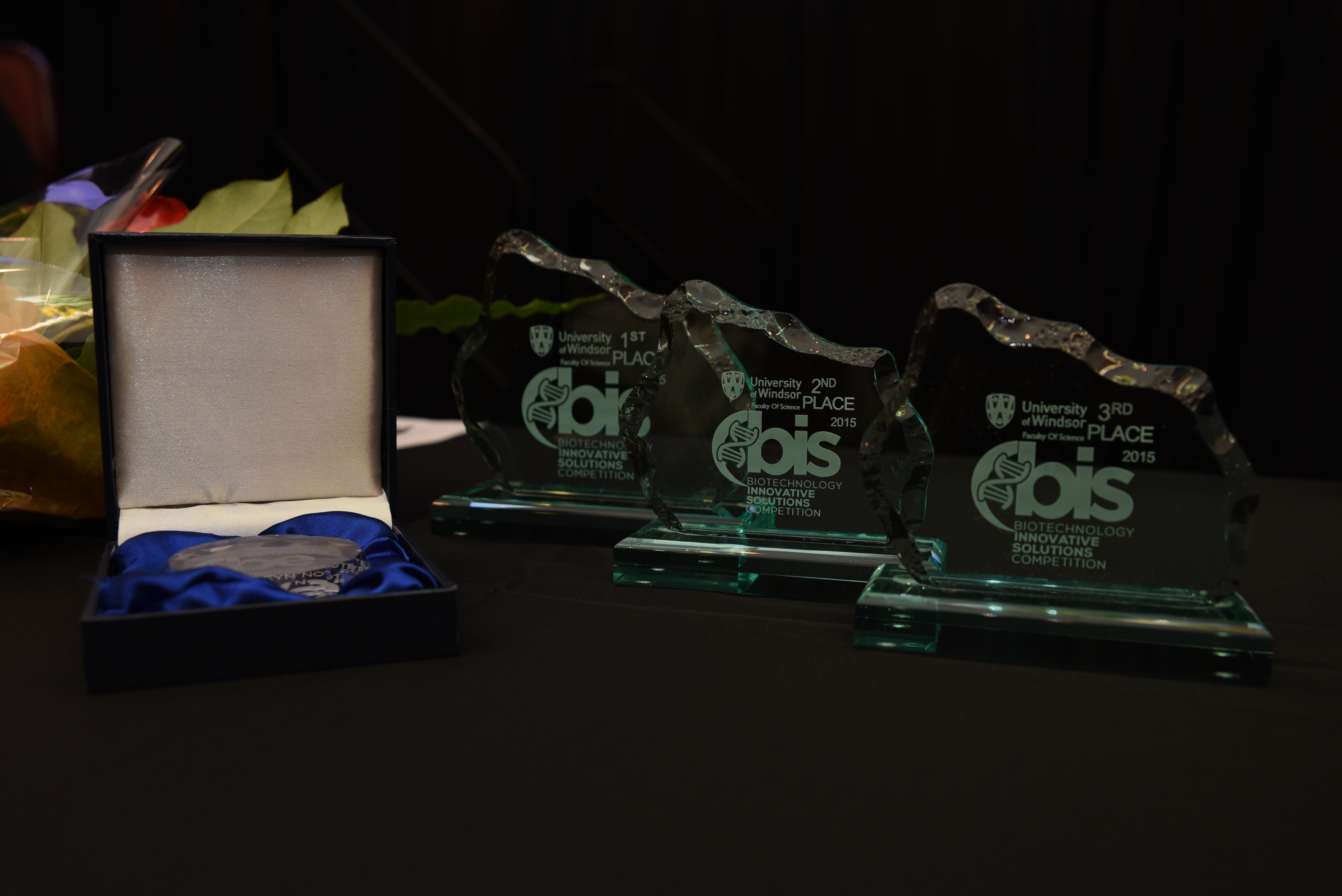 BIS award trophies