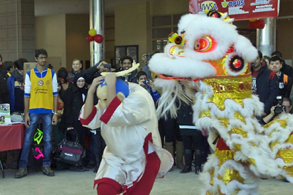 Vietnamese lion dance