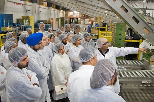 Logistics students toured the greenhouse operations of Mucci Farms, which grows fruits and vegetables in Kingsville.