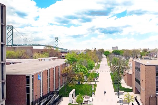 aerial shot of Turtle Island Walk