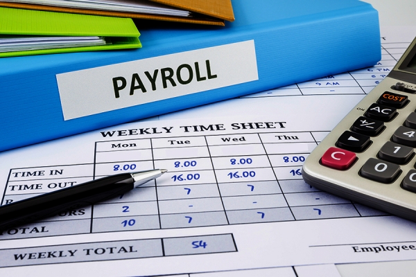 calendar indicating payroll