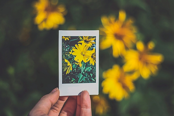 person holding photograph of flowers