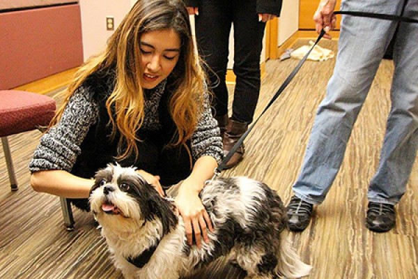 Kauthar Kadri pets Oliver, a therapeutic dog,