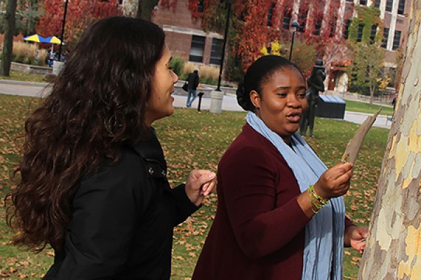 Melissa Cowell and Pamela Ovadje gather bark