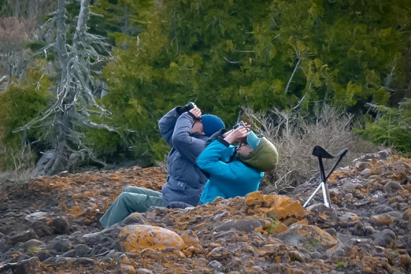 PhD candidate Zach Gayk and his field assistant observe wood warblers migrating along the coast of Lake Superior.