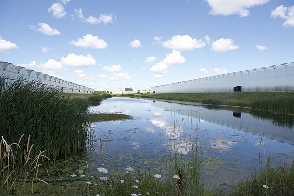 Stormwater retention ponds