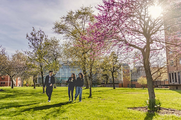 students walking across campus green