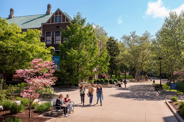 scene of greenery on campus