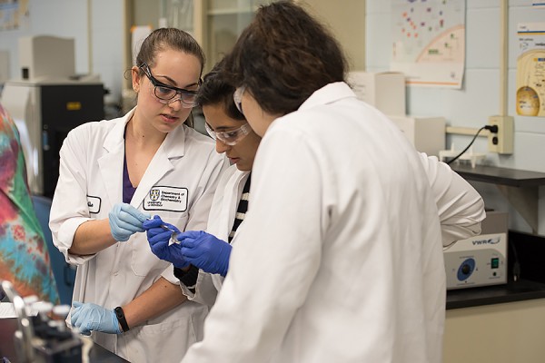 Grad student Katie Fontana leads a lab in chemistry.