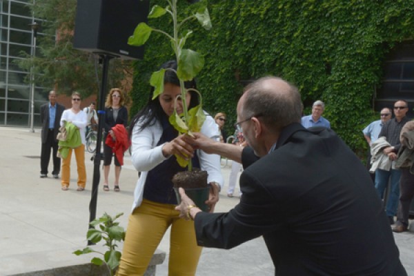 Nadia Hachem planting a sunflower with Bruce Tucker&#039;s help.