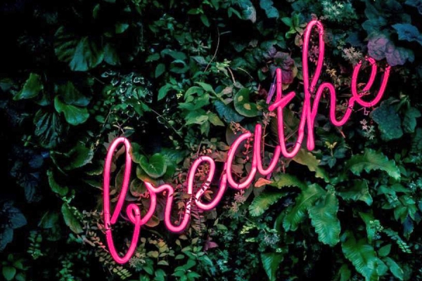 neon sign reading &quot;Breathe&quot;