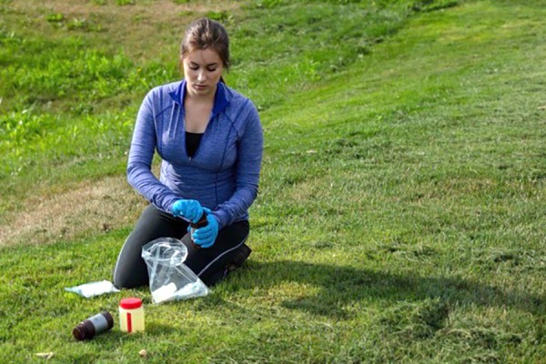 Biology student Lauren Goddard collects samples in the field.