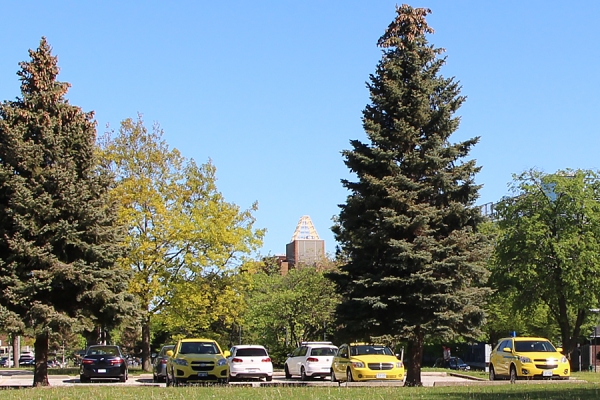 parking lot on Sunset Ave