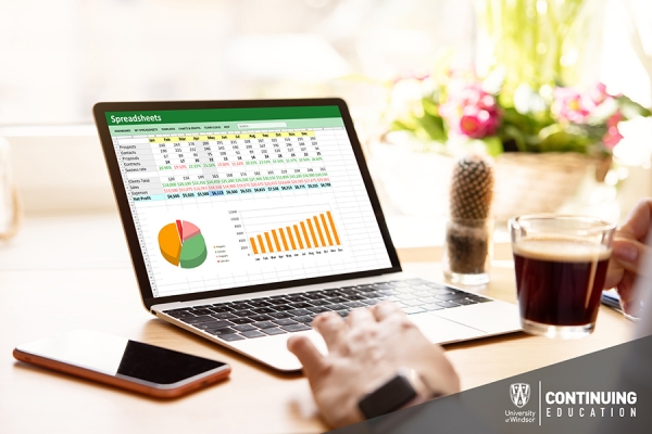 computer screen displaying Microsoft Excel