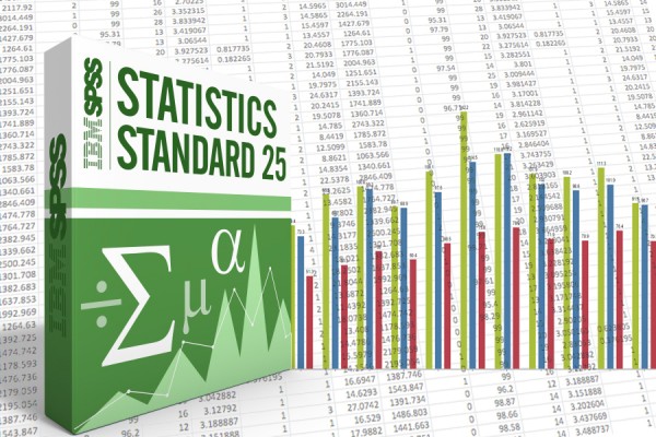 SPSS box