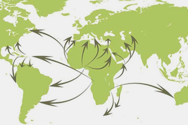 map of Africa with arrows symbolizing diaspora