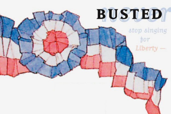cover of &quot;Busted&quot;