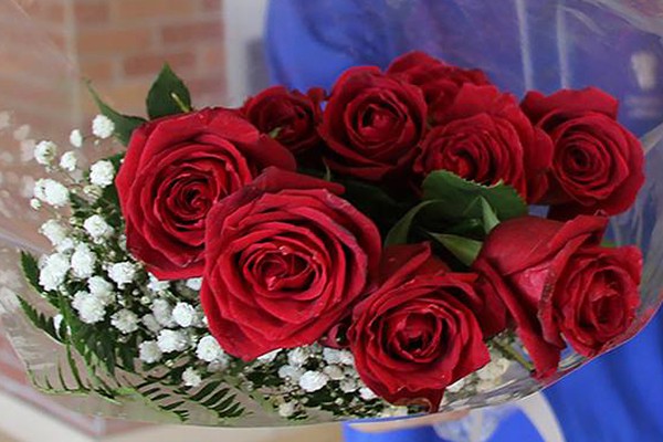 bouquet of red roses