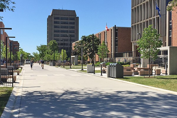 pedestrians make use of walkway