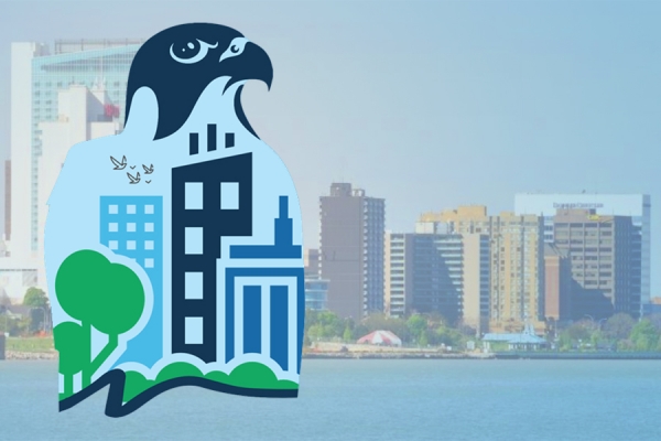 Bird-Friendly Windsor logo - a majestic falcon