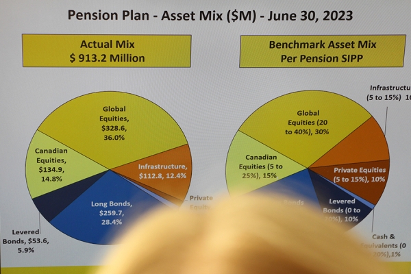 woman reviewing pension update