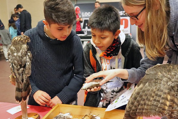 young boys looking at stuffed birds