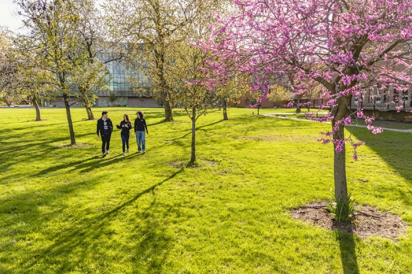 students crossing green lawn under trees in blossom