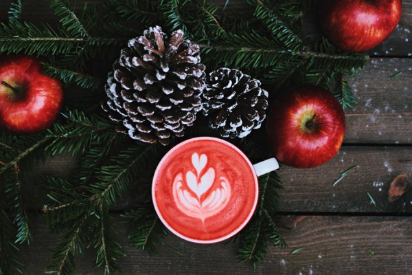 Holiday display of pine cones and cocoa