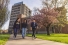 students walking on very green campus