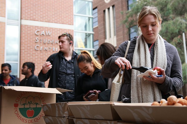 students picking up Timbits