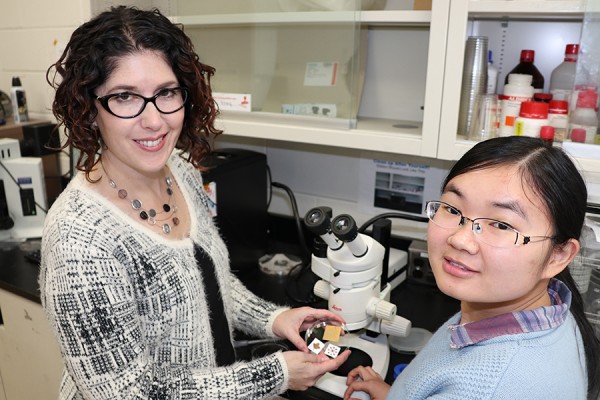 Tricia Carmichael and doctoral student Yunyun Wu