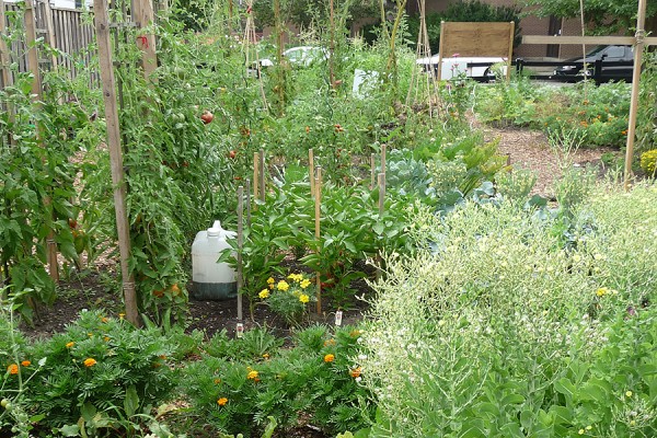 Campus Community Garden