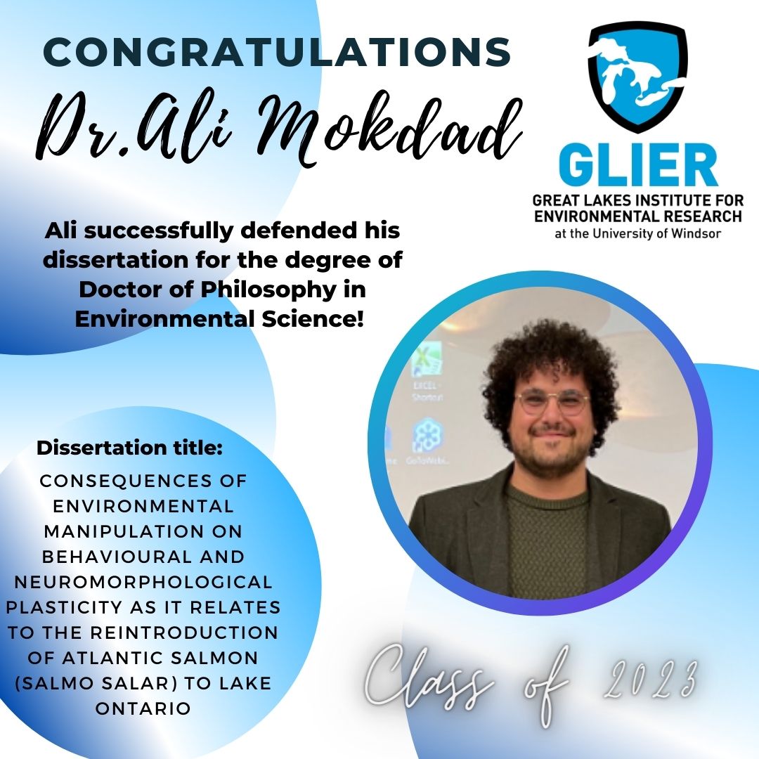 Poster congratulating Dr. Ali Mokdad on defending his PhD dissertation