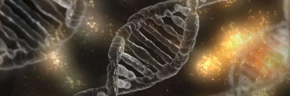 Image of multiple DNA fragments.