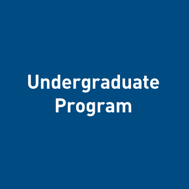 Undergraduate Program