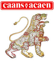 CAANS 2025 logo