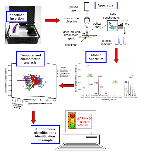 A schematic of a laser-induced breakdown spectroscopy based EMMA apparatus