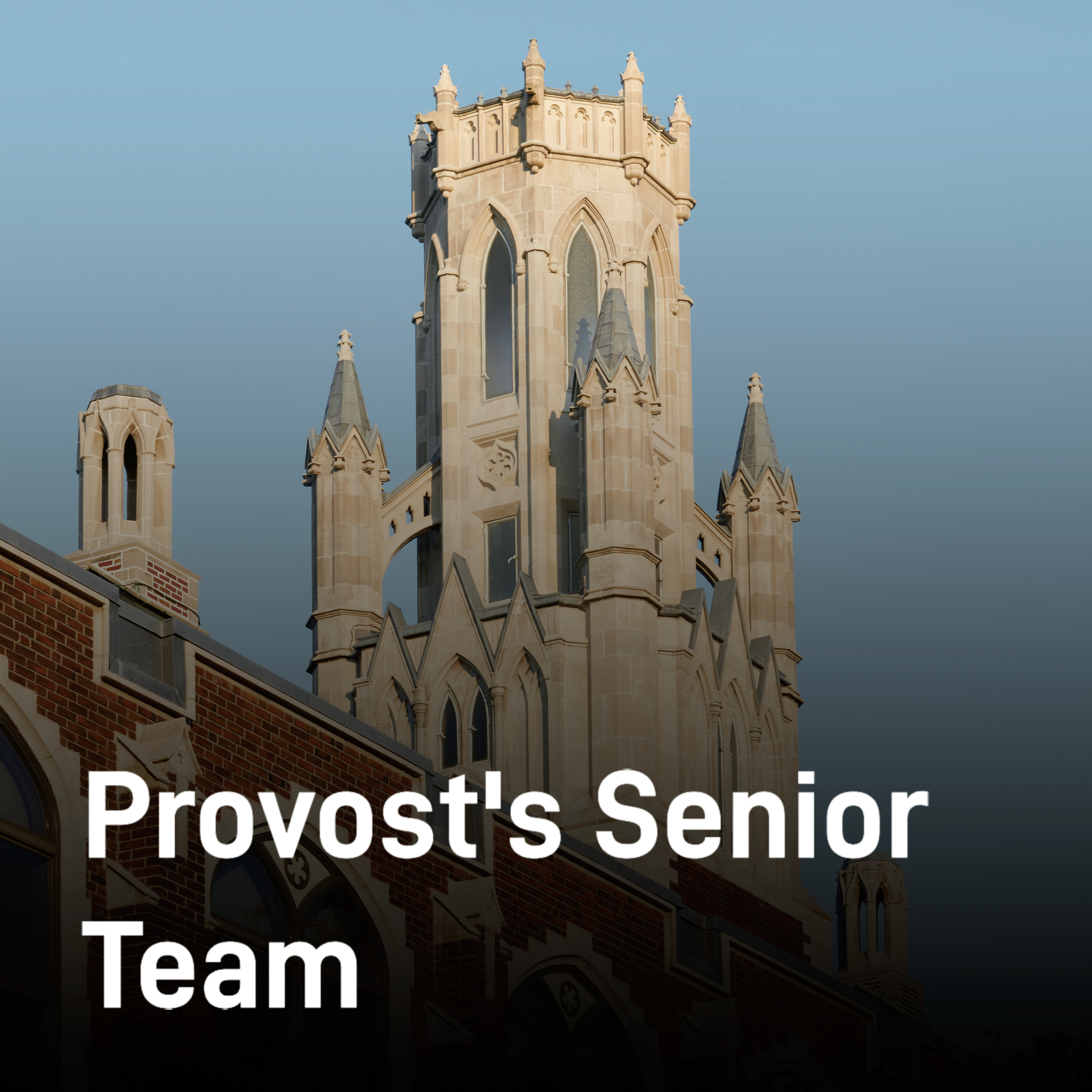 Provost's Senior Team