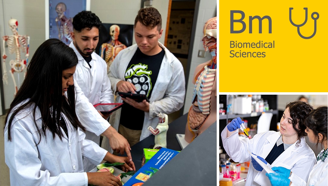 Biomedical Sciences