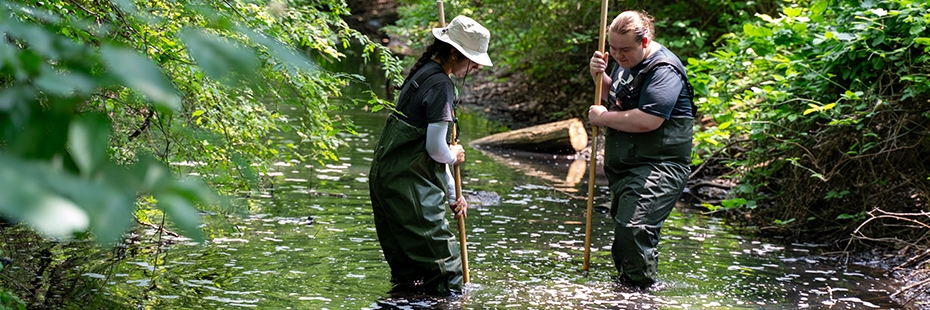 researchers standing in stream