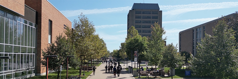 Elevated shot of campus featuring Turtle Island Walk