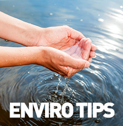 Environmental Tips