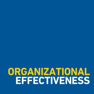 Organizational Effectiveness Grid Button