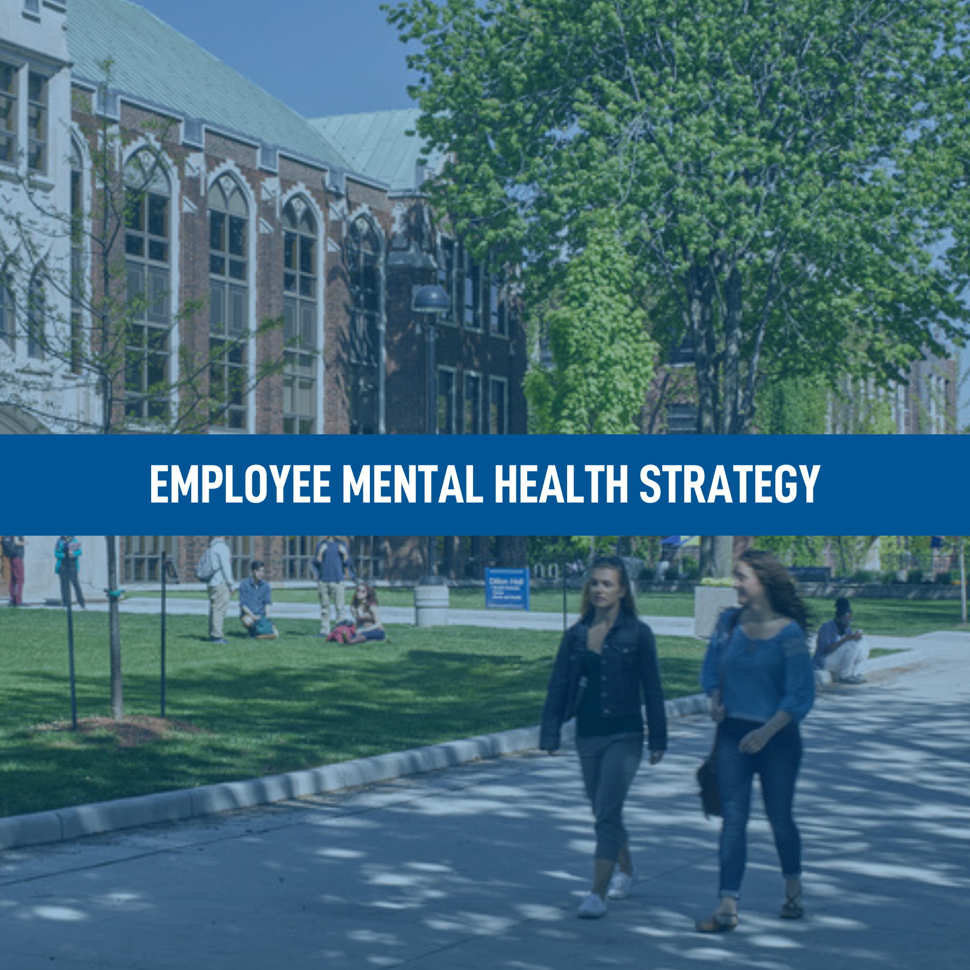Photo of Dillon Hall with the words: Employee Mental Health Strategy